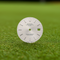 Silver Fox Ball Marker - Authentic Factory Watch Face