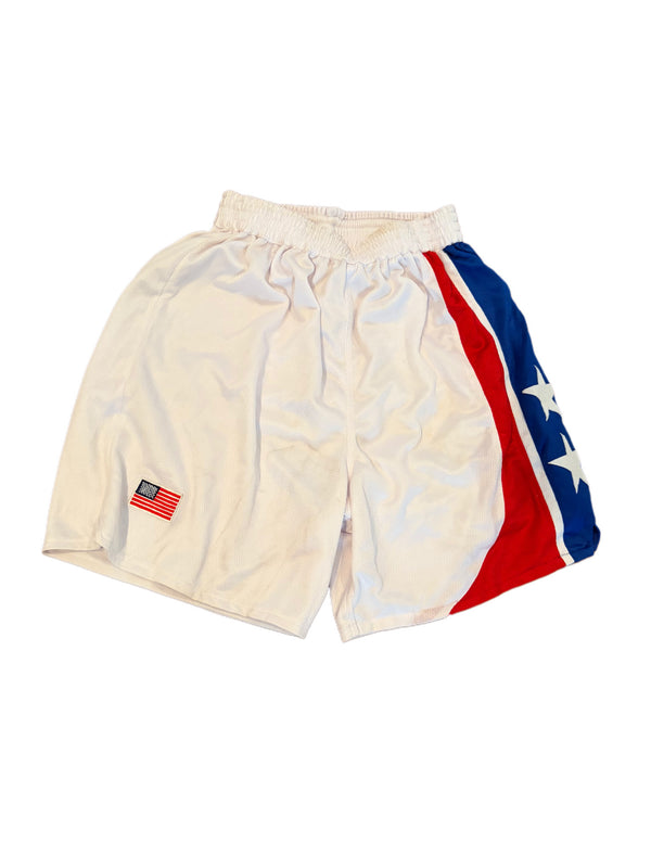 VINTAGE PROBALL AUSTRALIA SWINGMAN RED WHITE BLUE STRIPE STARS SHORTS