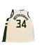 NIKE MILWAUKEE BUCKS GIANNIS ANTETOKOUNMPO #34 JERSEY