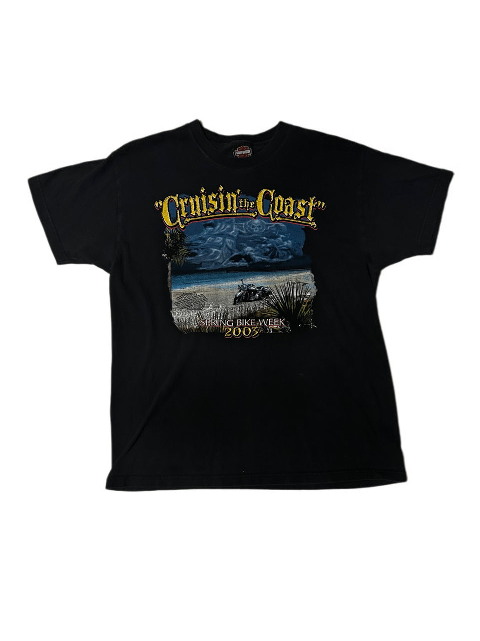 RETRO HARLEY DAVIDSON CRUISIN THE COAST GRAPHIC TEE