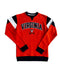 VIRGINIA CAVALIERS TEAM ARCH LOGO PULLOVER
