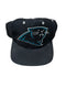VINTAGE PANTHERS SNAPBACK